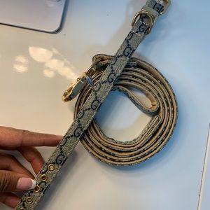 Brand new leash and collar for pets